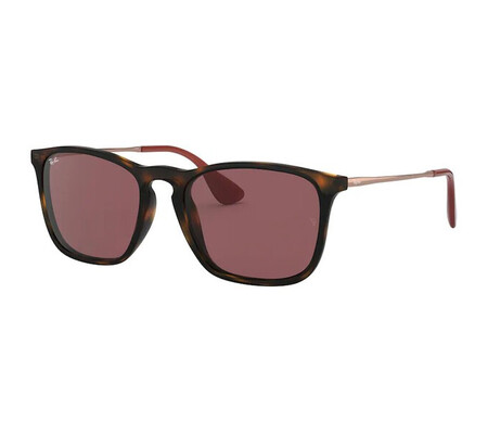 Ochelari de soare barbati Ray-Ban RB4187 639175