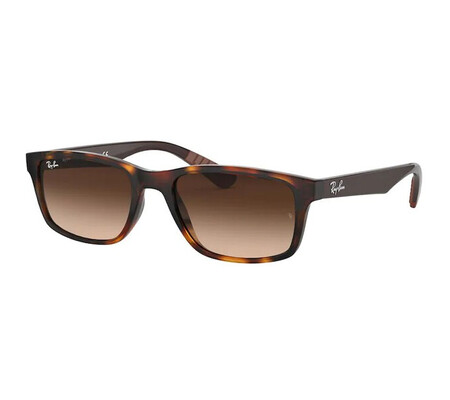 Ochelari de soare barbati Ray-Ban RB4234 620513