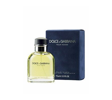 Apa de toaleta Dolce & Gabbana Pour Homme, 75 ml, pentru barbati