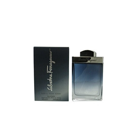 Apa de toaleta Salavatore Ferragamo Subtil, 100 ml, pentru barbati