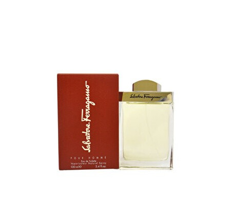 Apa de toaleta Salvatore Ferragamo Pour Homme, 100 ml, pentru barbati